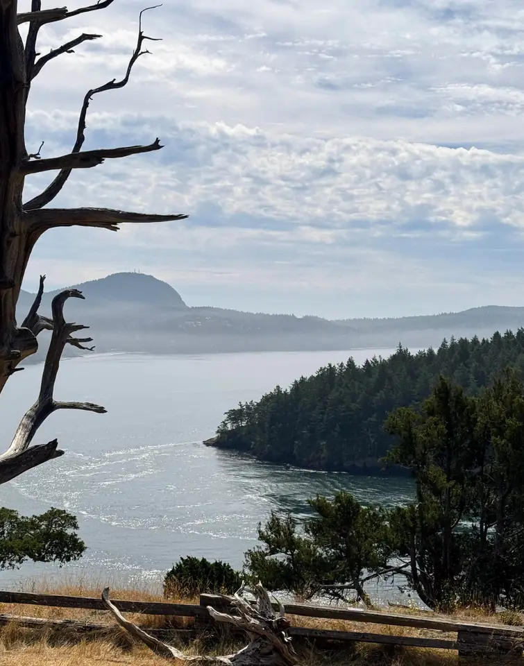 Pacific Northwest coastal landscape seen from a ride